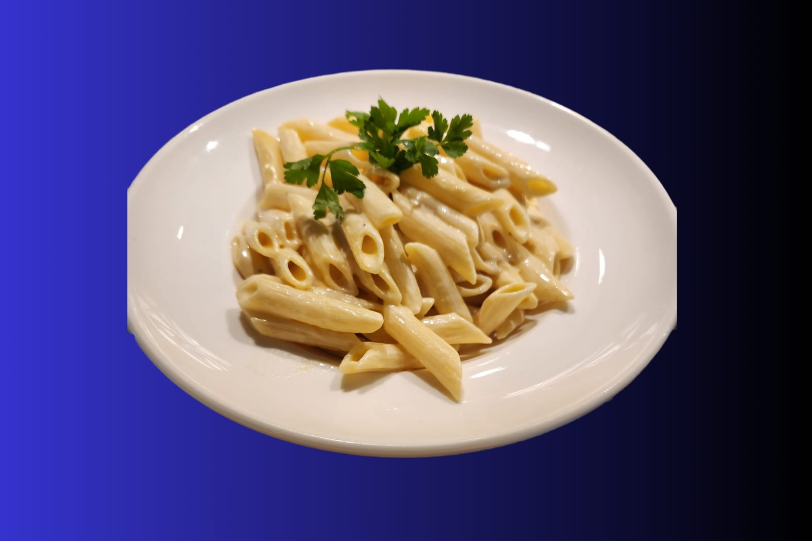 ALFEDO SOSLU MAKARNA